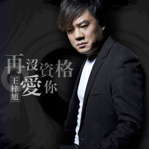 《再没资格说爱你》是由<a target="