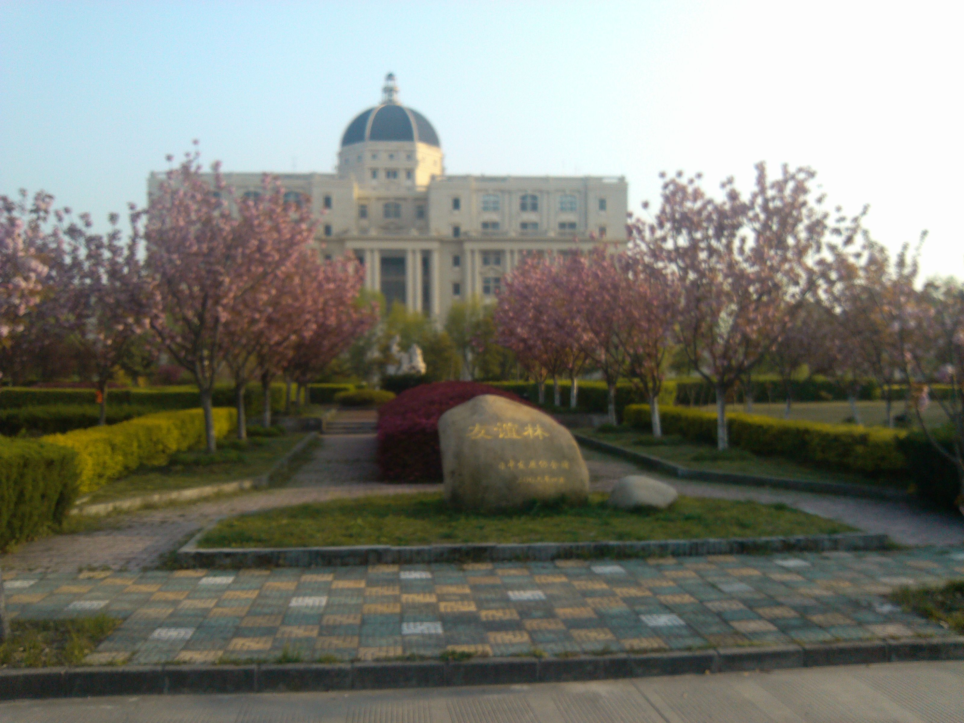  p>上海外国语大学(shanghai international studies university)