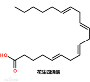花生四烯酸