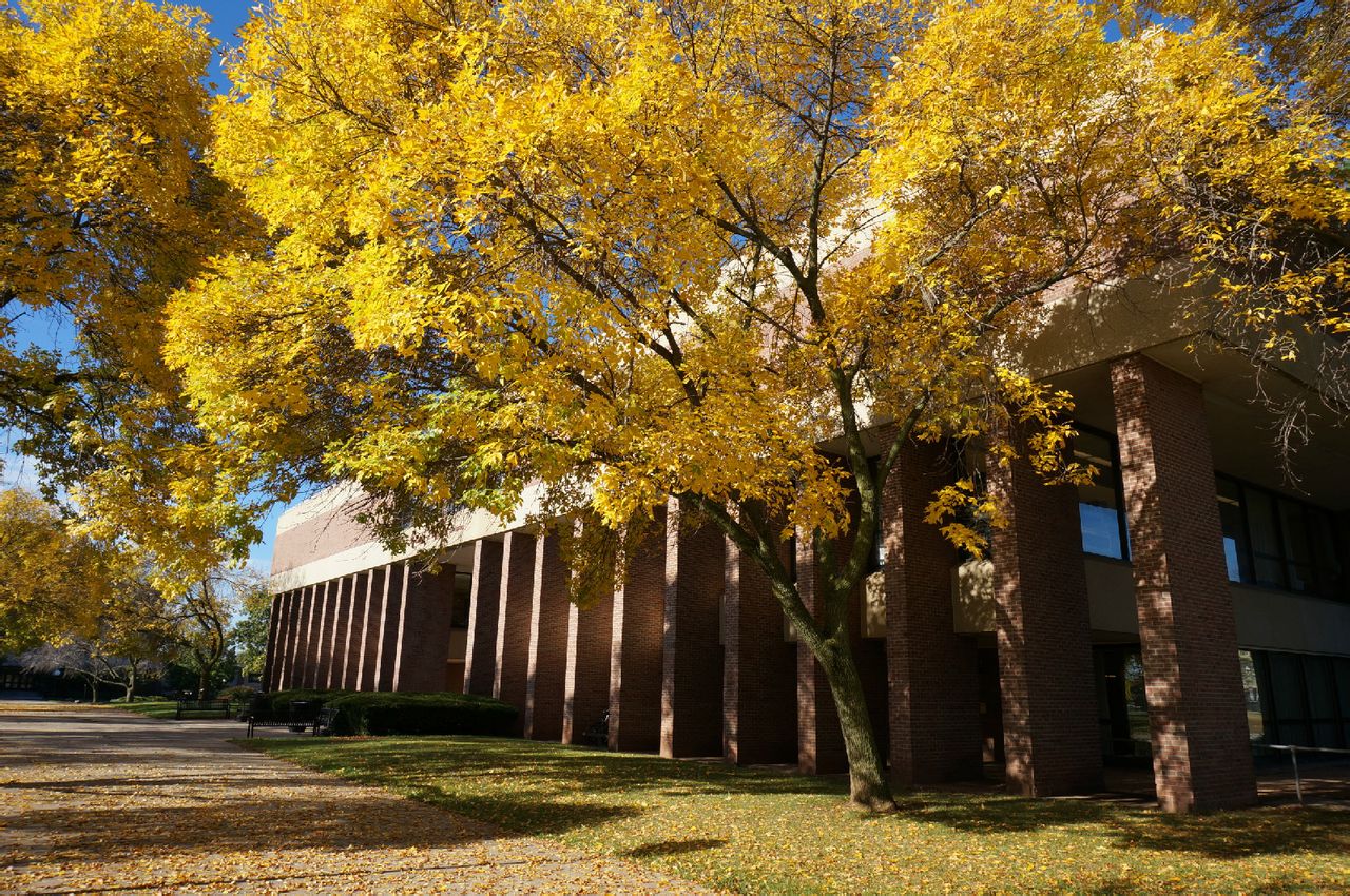 美国罗特格斯州立大学