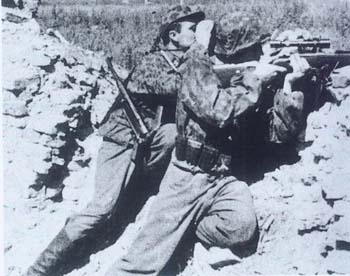  p>国民掷弹兵是1944年7月,是 a target="_blank" href="/item/德国