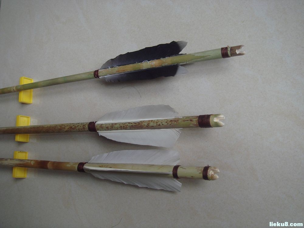  p>箭竹(fargesia spathacea franch)是禾本科,箭竹属竹类植物.