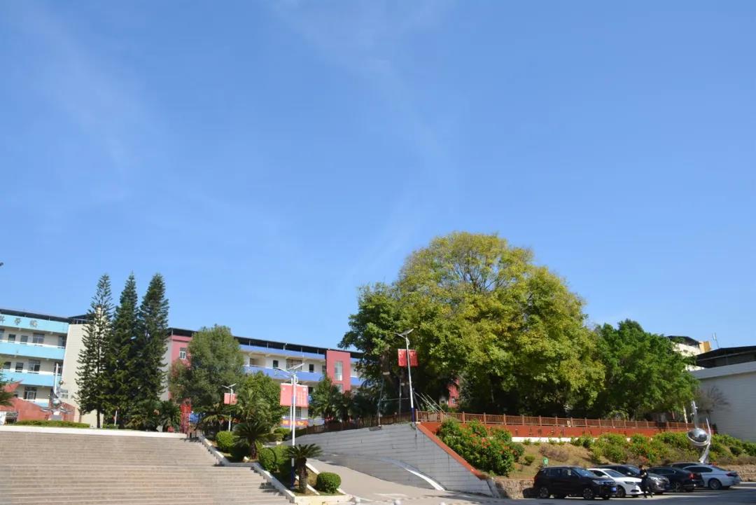 和平县和平中学