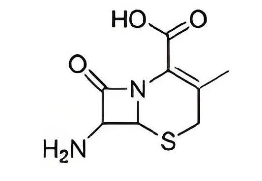 7-ADCA_百度百科