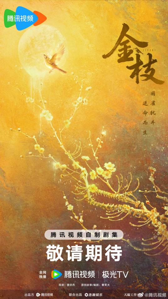 金枝（2026年曾庆杰执导的古装传奇剧）_百度百科