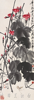 牵牛草虫