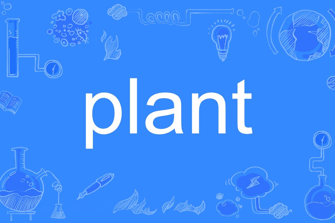 9">plant是一个 a target="_blank" href="/item/英语单词/10876304"