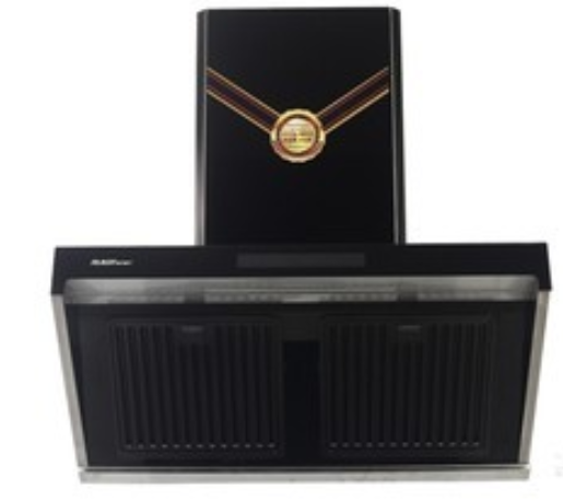  p>瑞贝格尔cxw-288-g21是一款抽油烟机. /p>