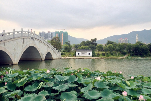 清远湿地公园