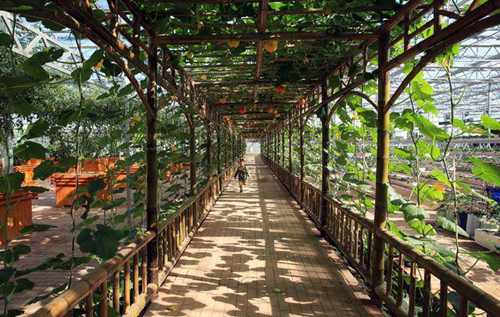 泸州市江阳区董允坝伞乡景区