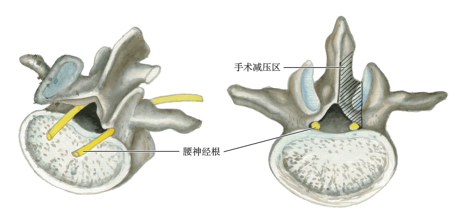  p data-id="gncpd6f4n0">脊髓,呈前后稍扁的圆柱体,全长粗细不等