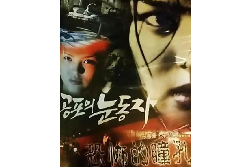 data-id="tmgzhyjotmvi">《恐怖的瞳孔》是宋慧乔,宋允儿主演的电影