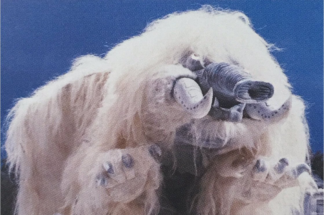 冷冻怪兽玛格顿