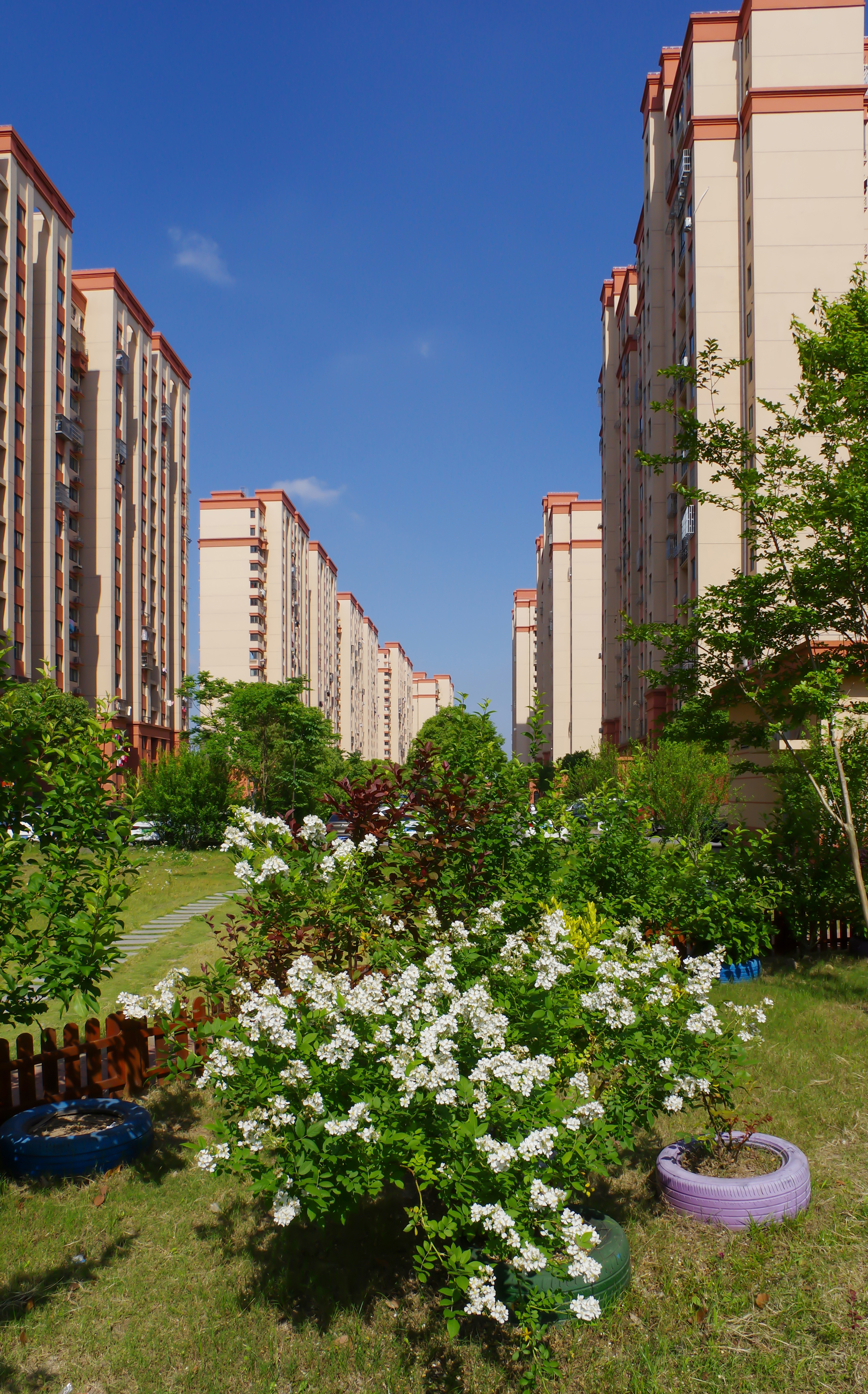 blank" href="/item/宣桥镇人民西路1955弄/5140078"