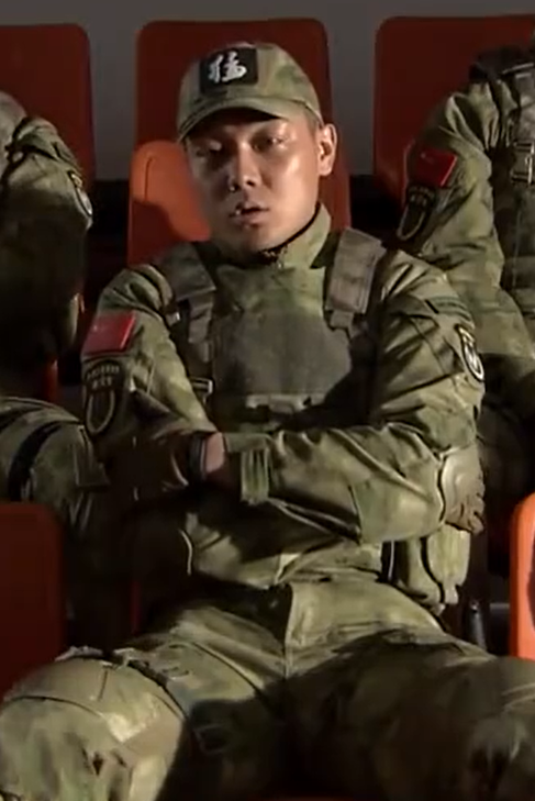 《 a target="_blank" href="/item/特种兵之火凤凰/12013686" data