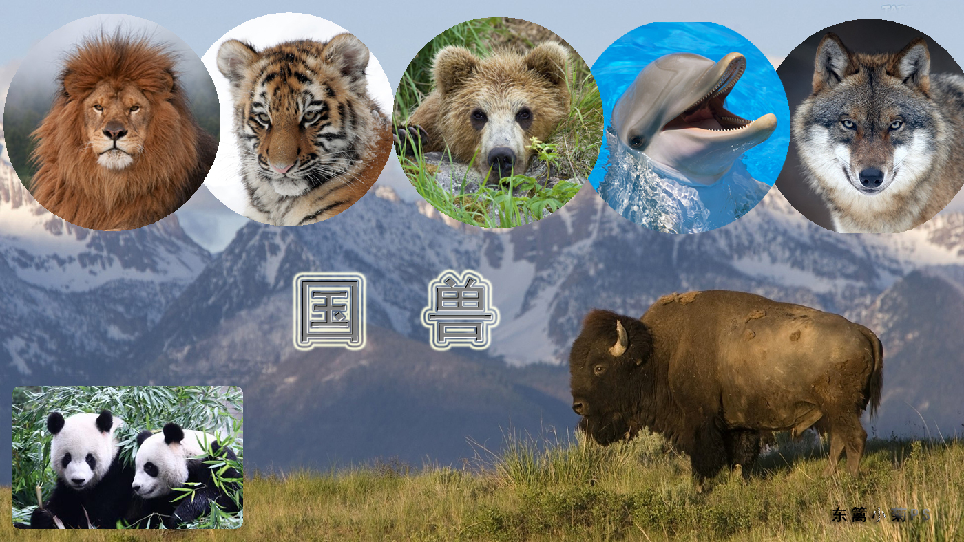  p data-id="go1fq2anux">国兽( i>英文:nat