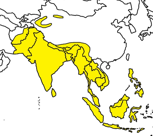  p> b>印度文化圈 /b>(印地字:                         ),简称 b>