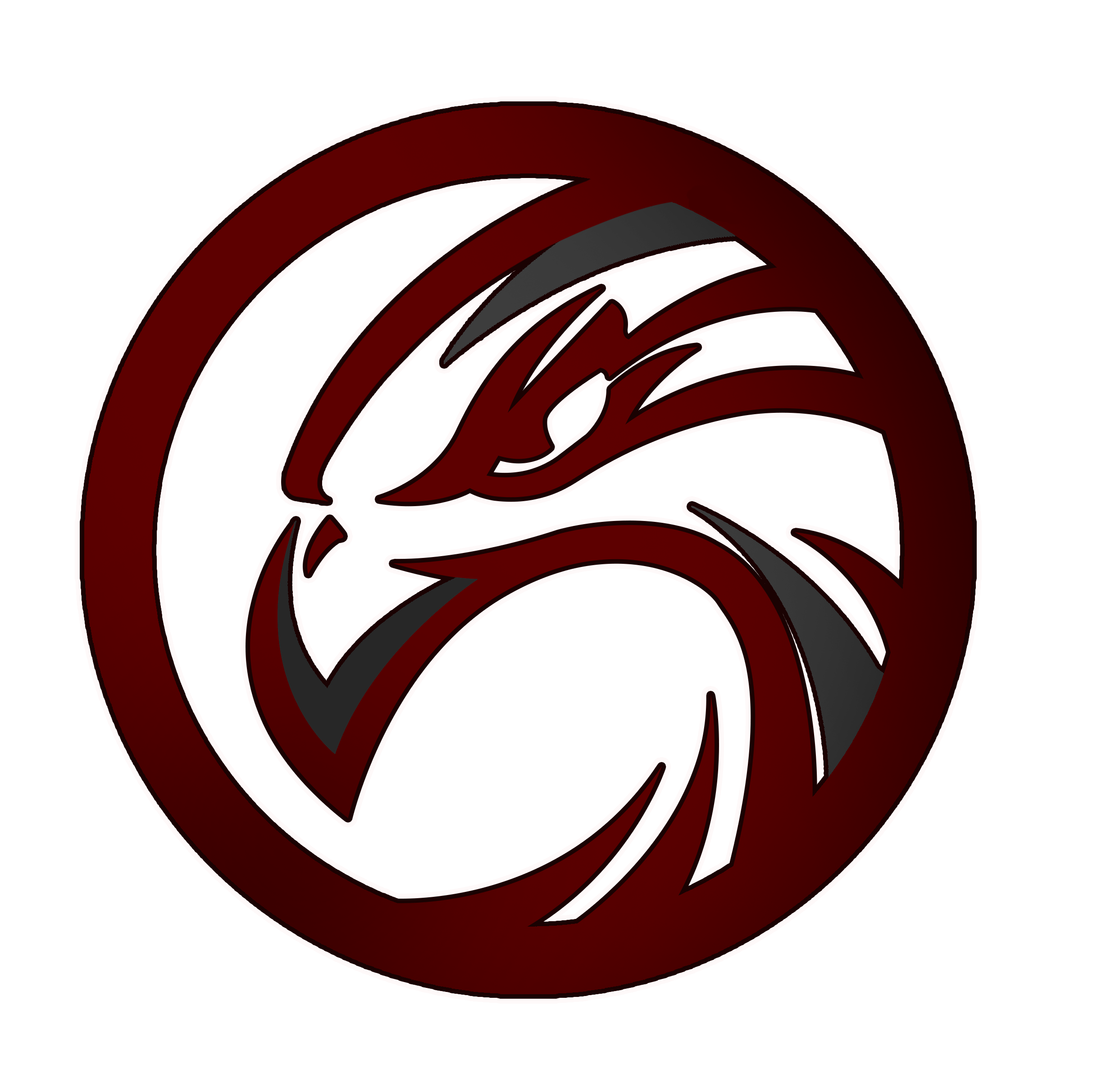 上海夜鹰美式橄榄球队