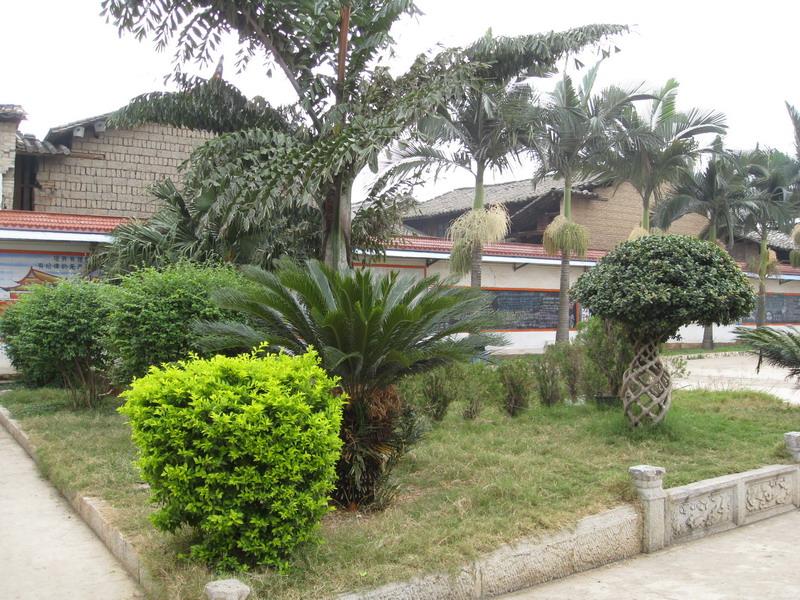  p data-id="gnaoaqtf4g">朋普村位于云南省红河弥勒县朋普镇,隶属于