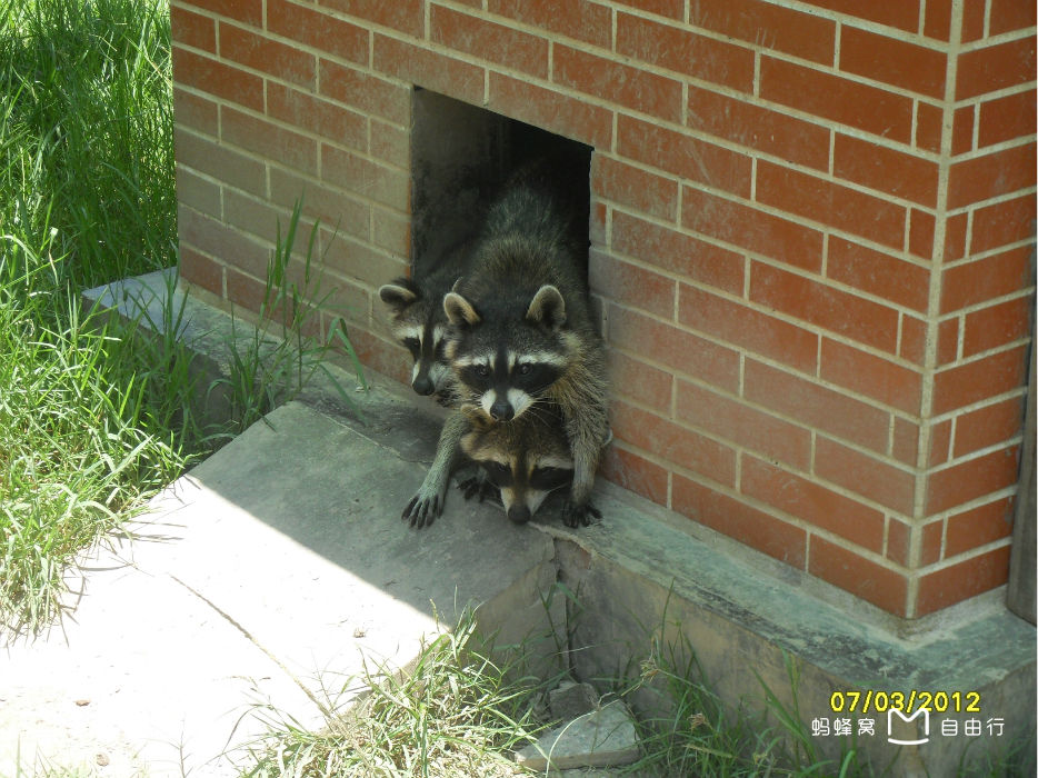 厦门海沧动物园
