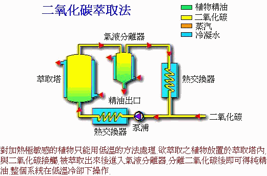  p>精油萃取方法是指从植物中萃取精油的方法.