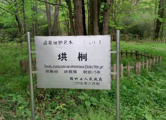 四川云湖国家森林公园