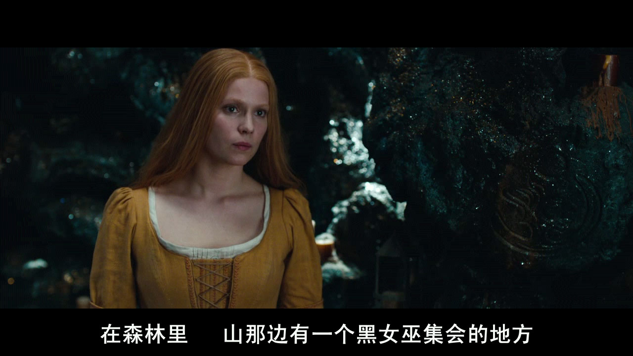 韩赛尔与格蕾特 女巫猎人