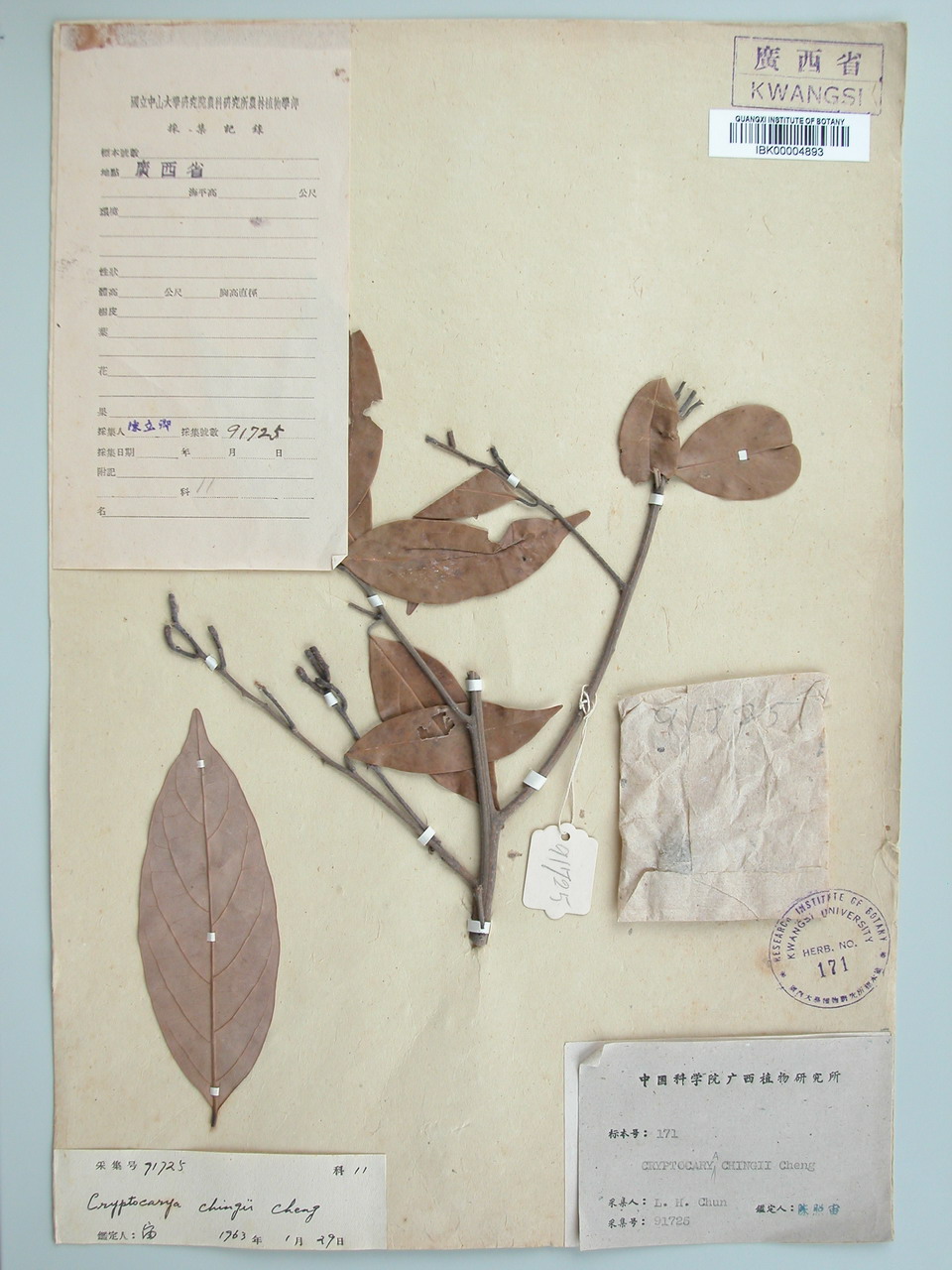 中国数字植物标本馆