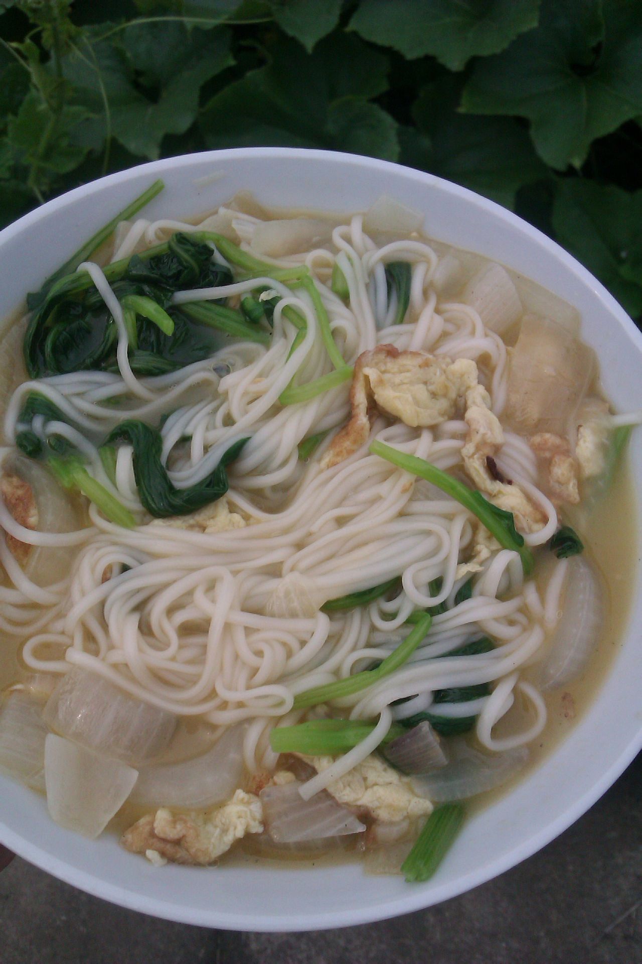 洋葱炒蛋青菜面