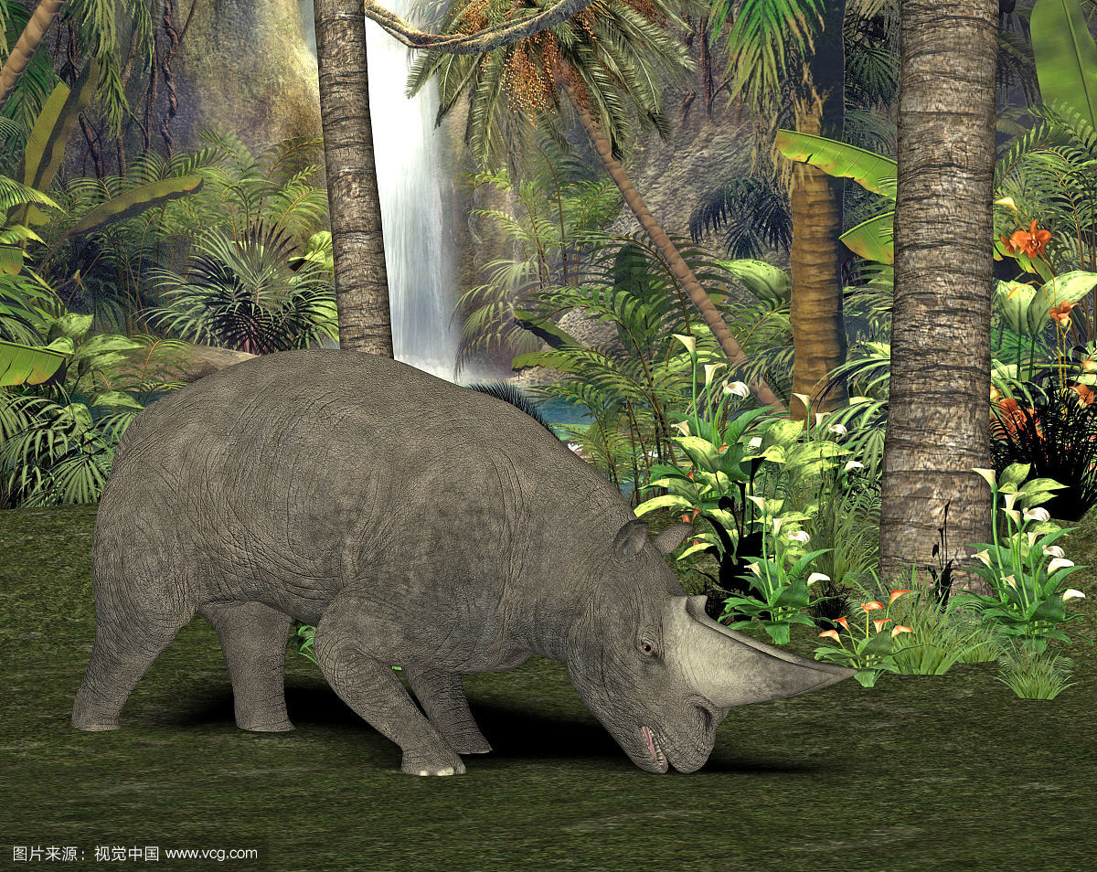 埃及重脚兽(arsnoitherium)