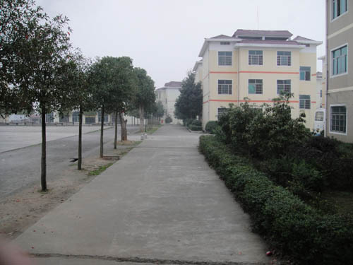  p data-id="gnwlooq66v">洞口三中坐落在文化底蕴深厚的湖南名镇