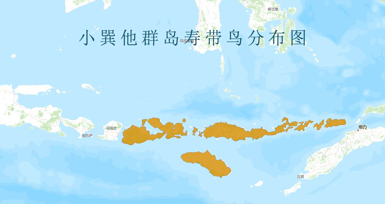  p>小巽他群岛寿带鸟(学名: i>terpsiphone floris /i>):体长22-25