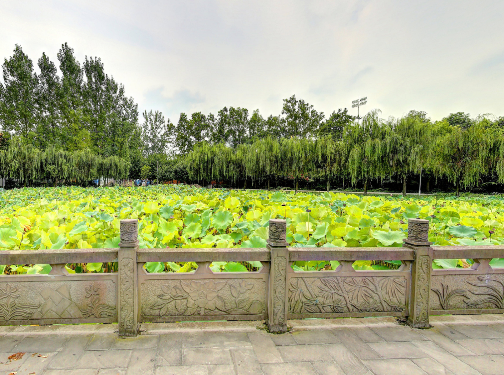  p>四川传媒学院( i>sichuan university of media and