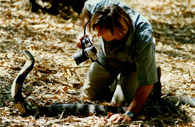  p>生于南非的奥斯汀·史蒂文斯,是世界著名的爬虫学家,电影制作, a