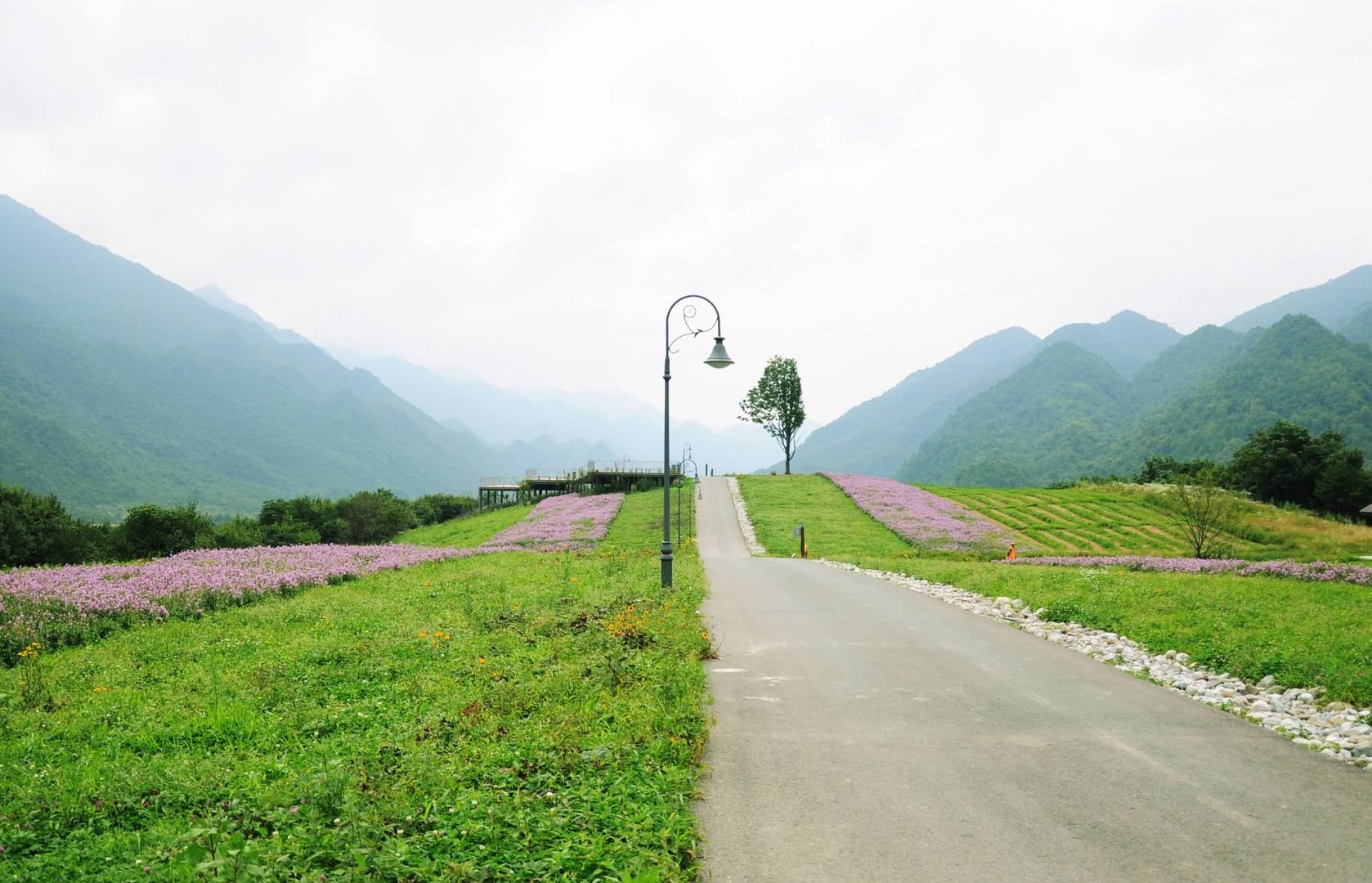  p>白草畔国家森林公园为野三坡六大景区之一,素有 a target="_blank"