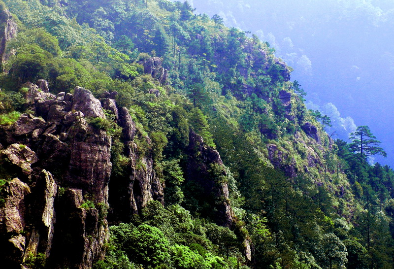 大丰山森林公园