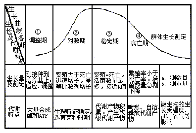 微生物生长曲线