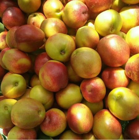 data-lemmaid="2665386">枣阳市 /a>特产,全国农产品地理标志