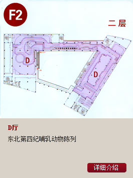 大庆市博物馆