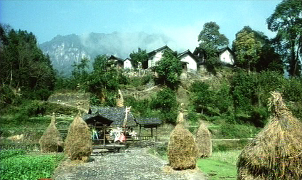 我心飞翔woxinfeixiang(2005)