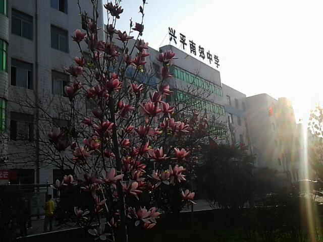 兴平市南郊高级中学