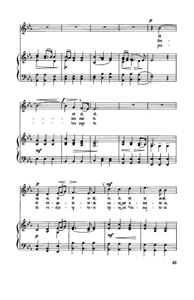 绿树成荫意大利歌曲(绿树成荫意大利歌曲中文翻译)