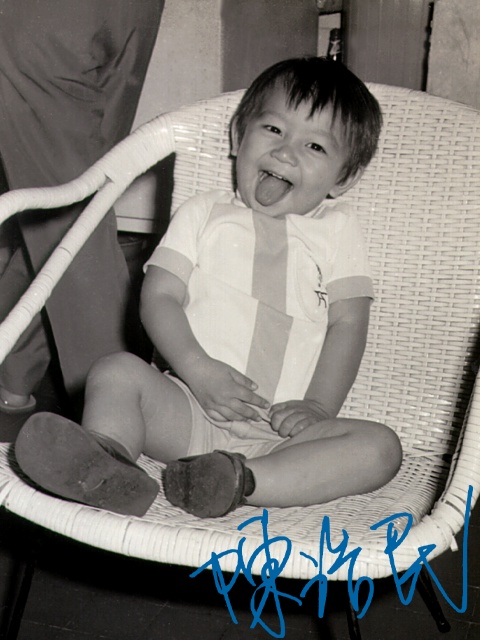  p data-id="gocwo3l0xt">陈浩民,1969年10月7日出生于 a target="