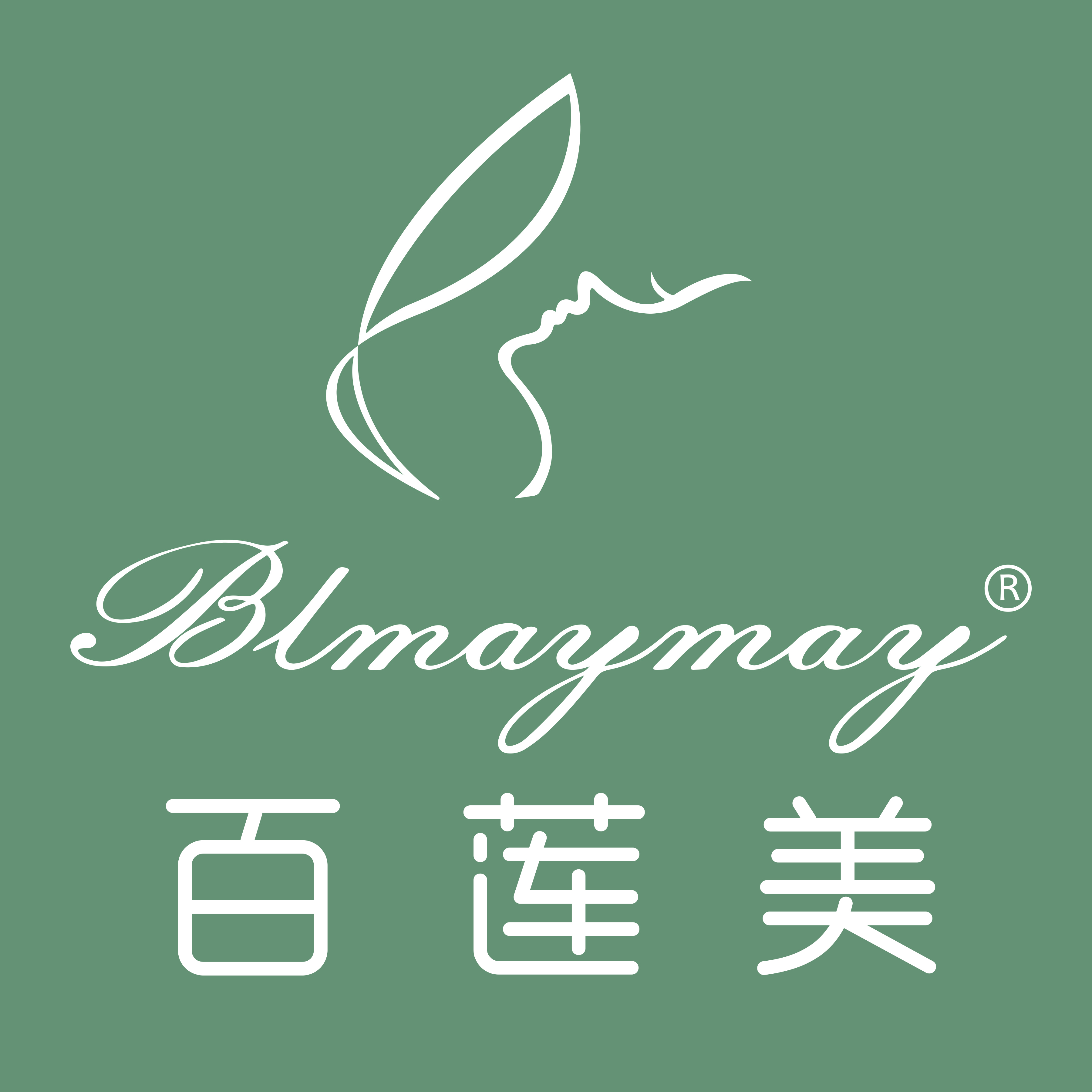 湖南百莲美生物科技有限公司