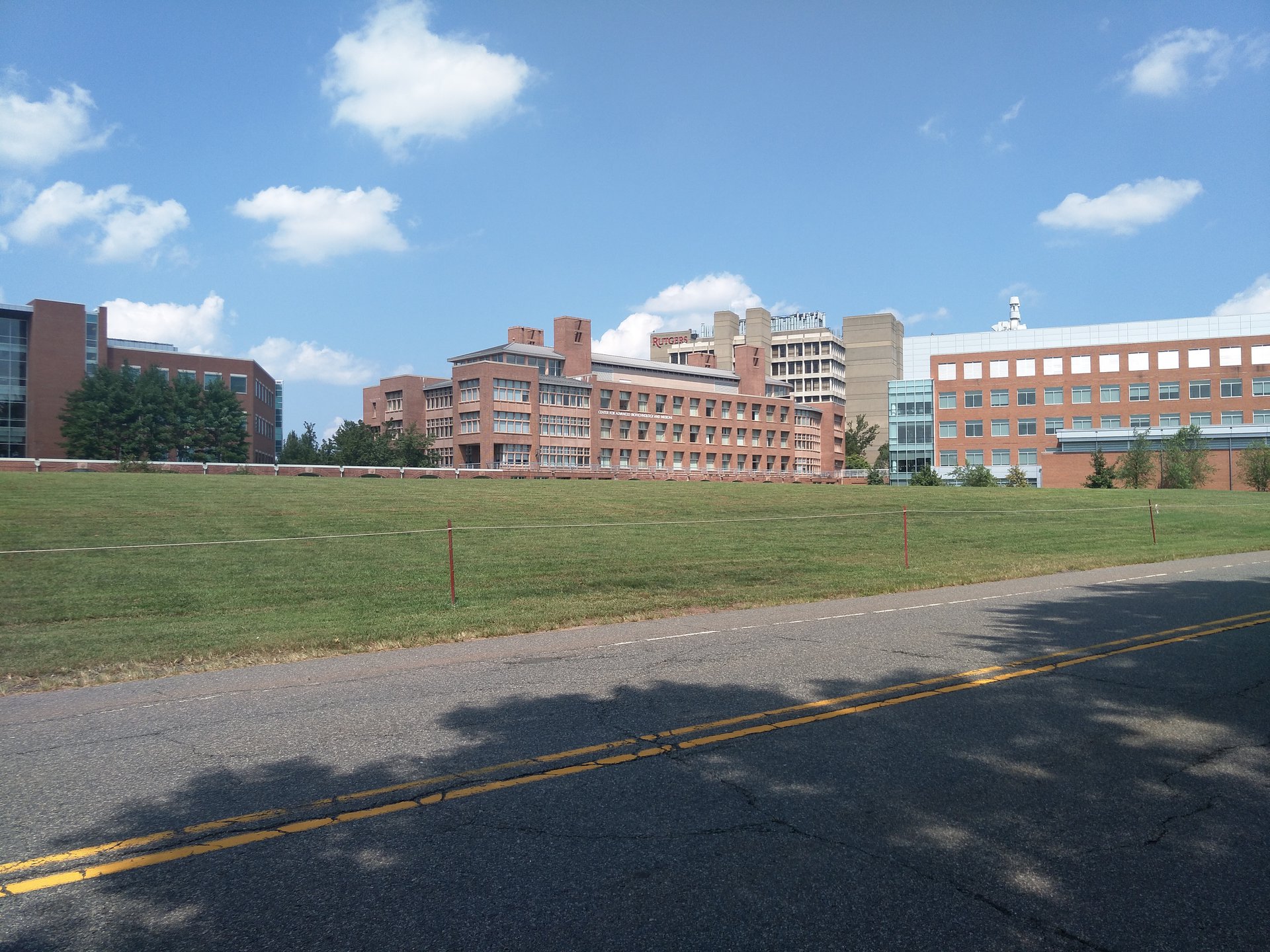 罗格斯大学