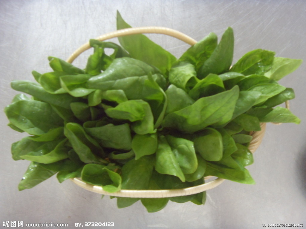  p>菠菜属(学名:spinacia l.