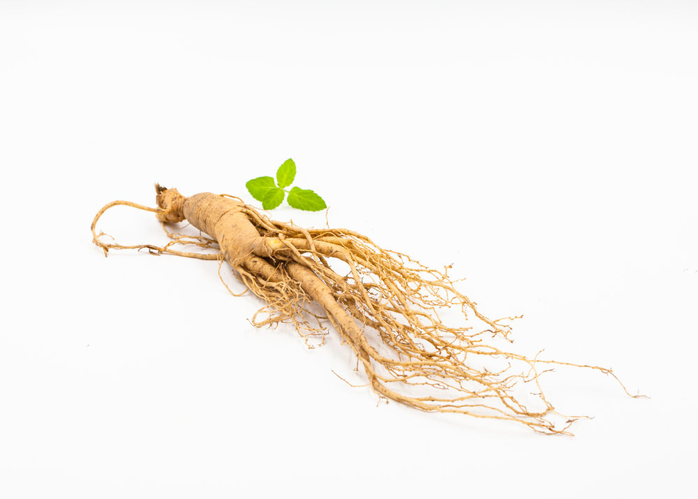  p>人参属(拉丁学名:panax l.