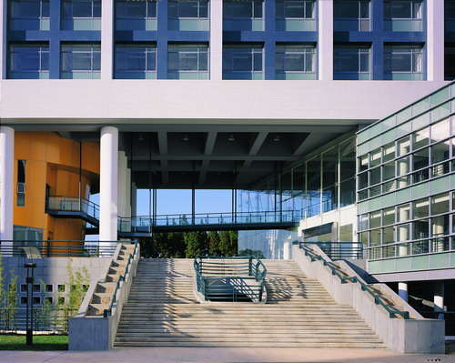 同济大学医学院