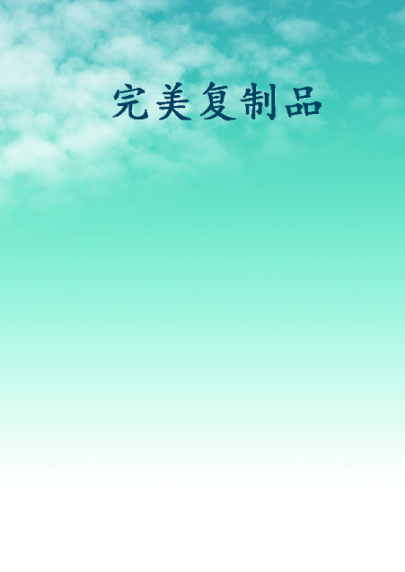 完美复制品_百度百科