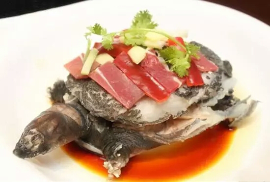 火腿炖甲鱼